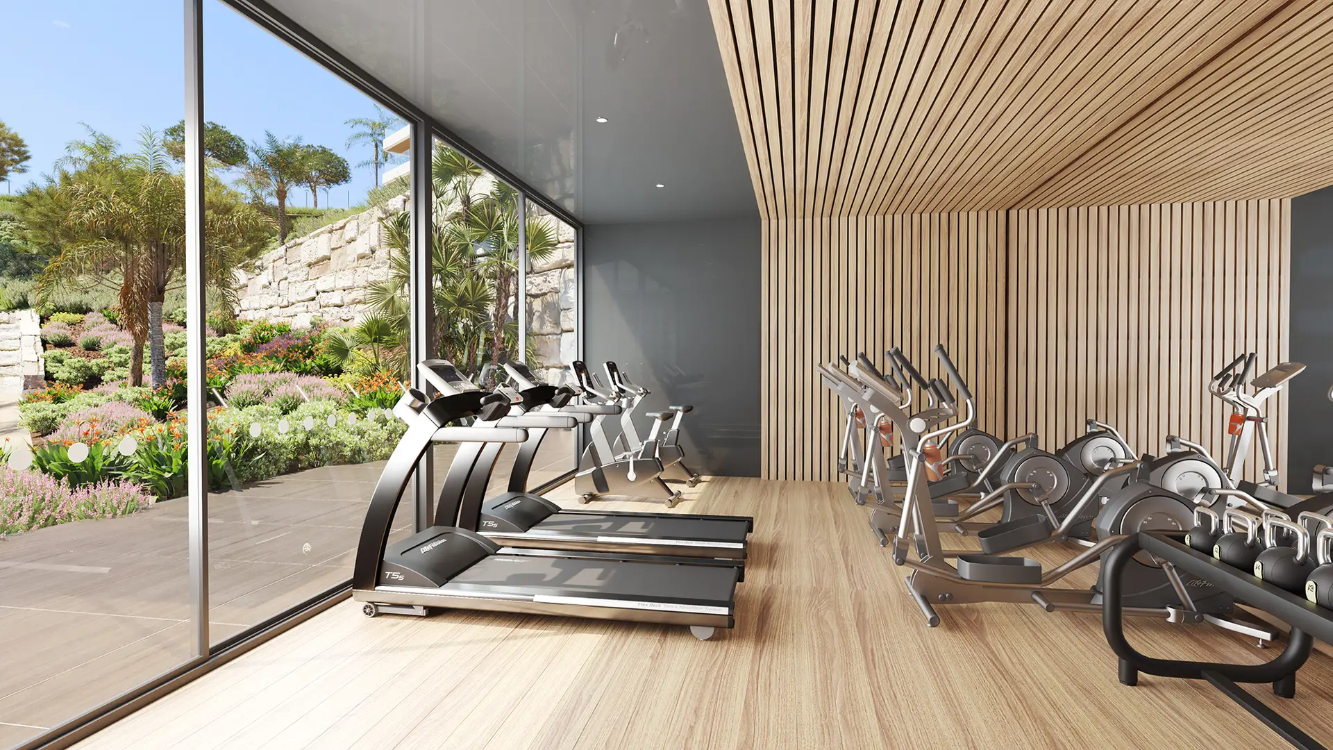 Calanova_interior_gym
