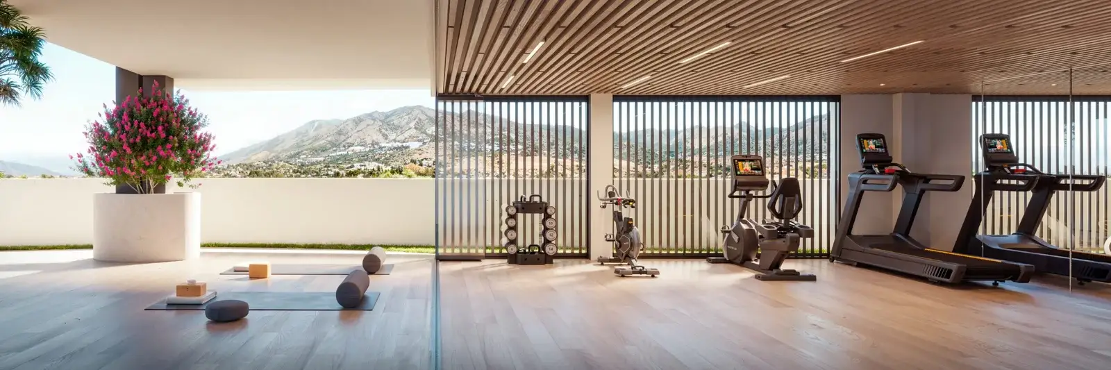 V14_GYM_01-scaled