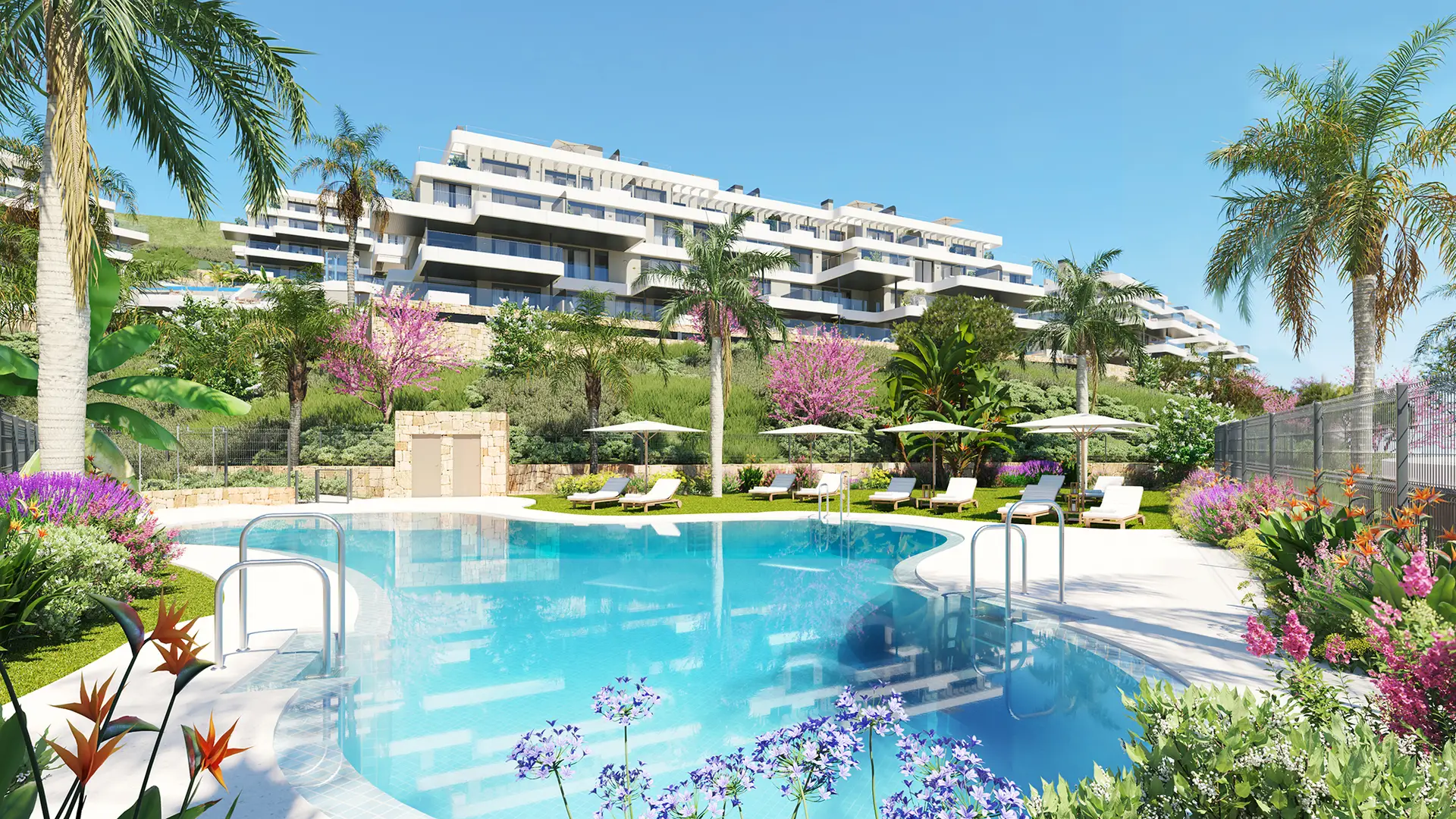 webCalanova_exterior_piscina_2_dia